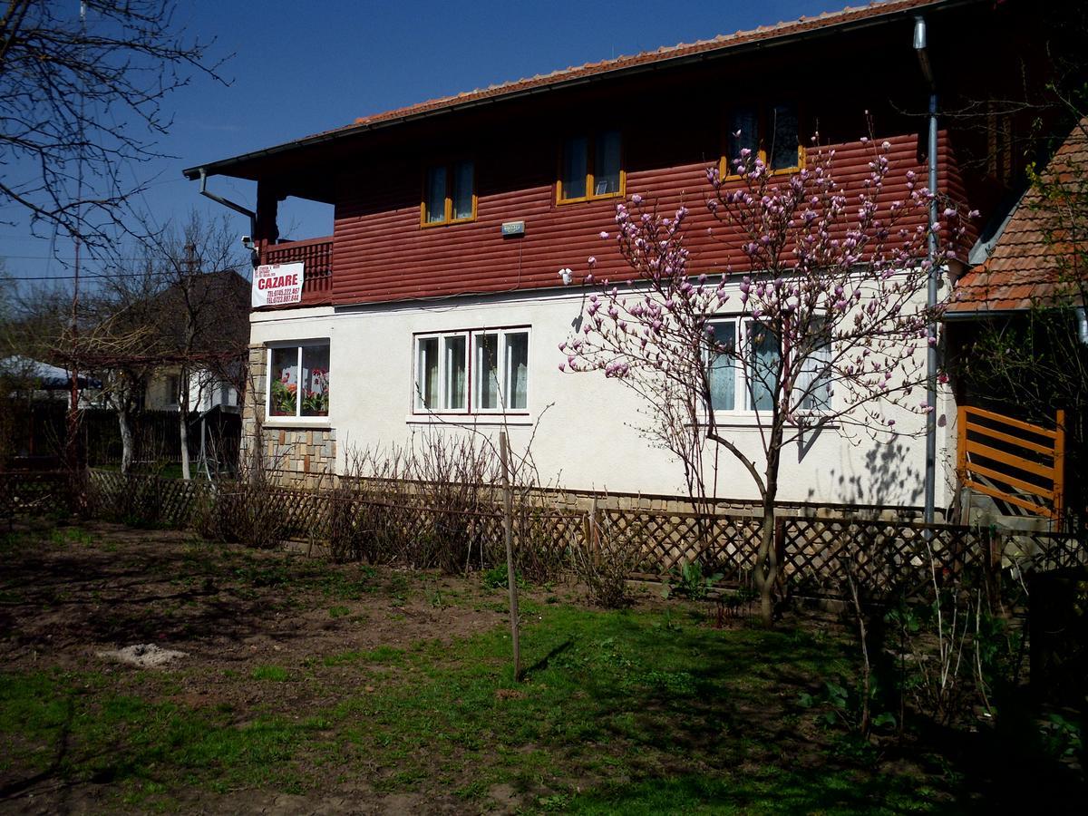 Vila Mihaela Breaza  Exterior foto