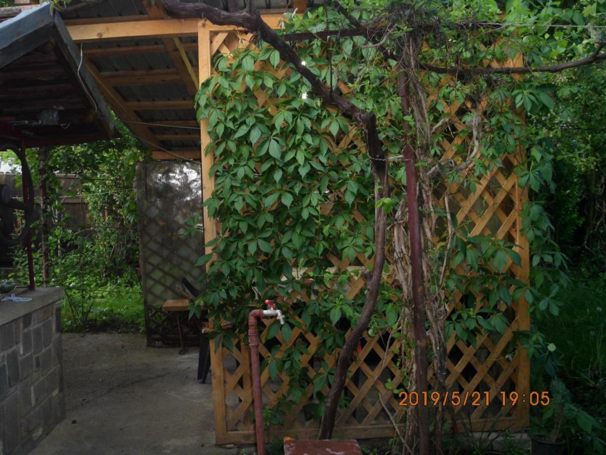 Vila Mihaela Breaza  Exterior foto