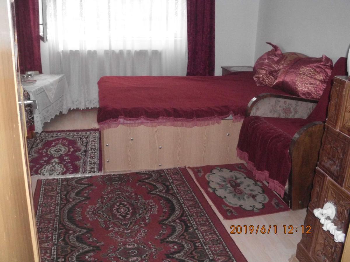 Vila Mihaela Breaza  Exterior foto
